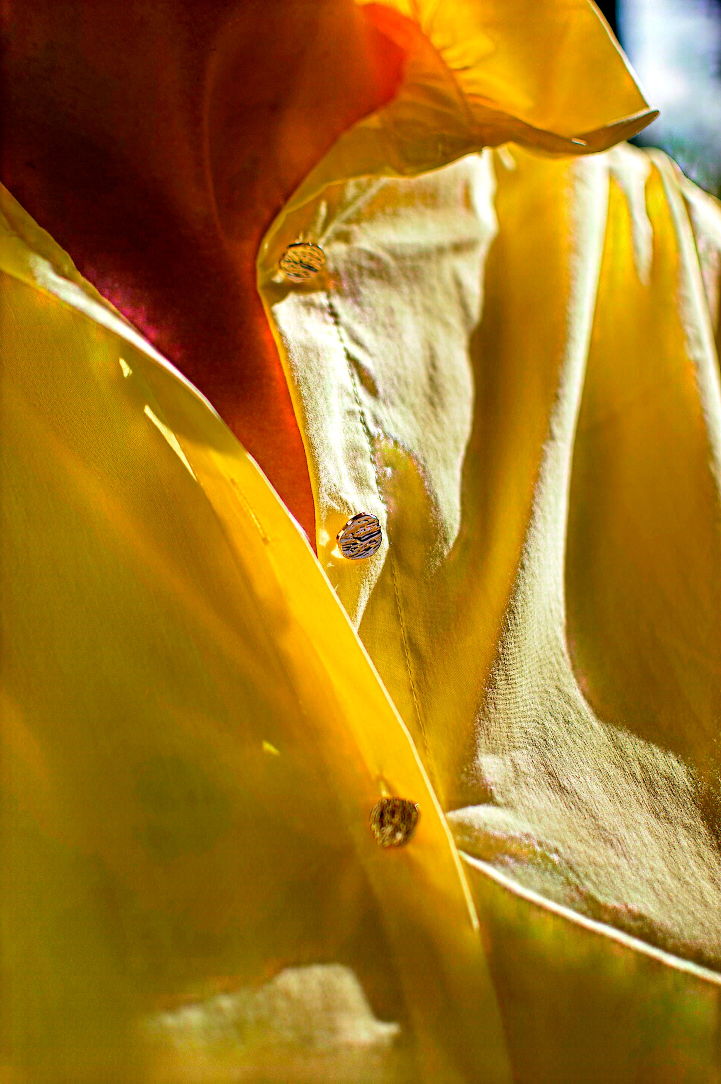 Chemise Maé - Jaune